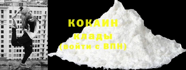 дмт Няндома