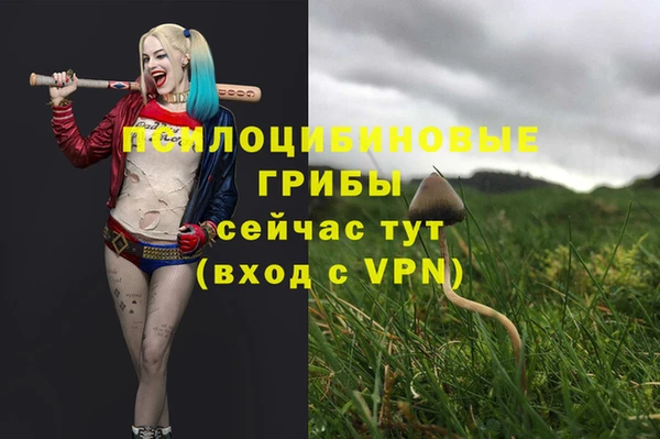 бутират Алексеевка